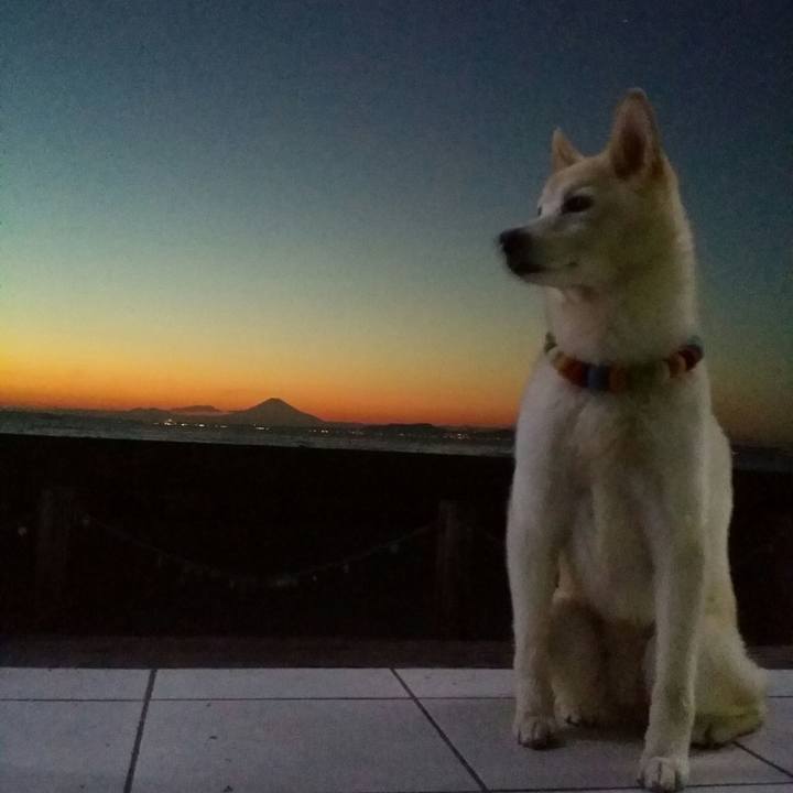 7ef316ea 9a45 46c0 afbd 2ac7c372fd26