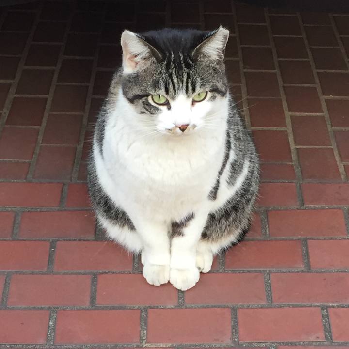 7ef33204 8a1c 48bf bbbb 9dca204e02c9