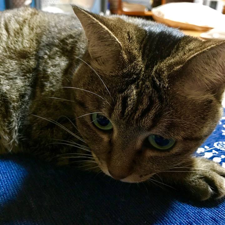 7ef37487 4c51 4ade 890a fa395e2ca28f