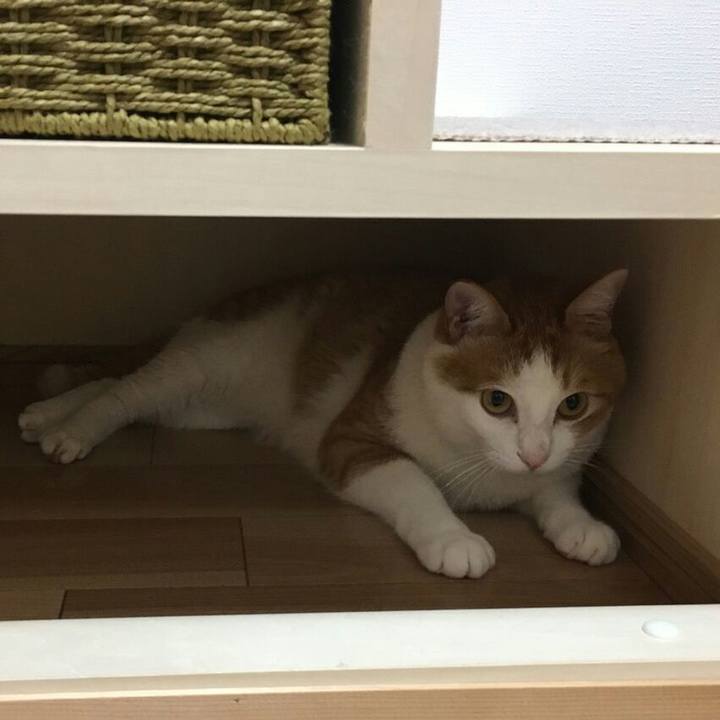 7ef39da4 fb98 474d 84ca 14f2f6e5aaf2