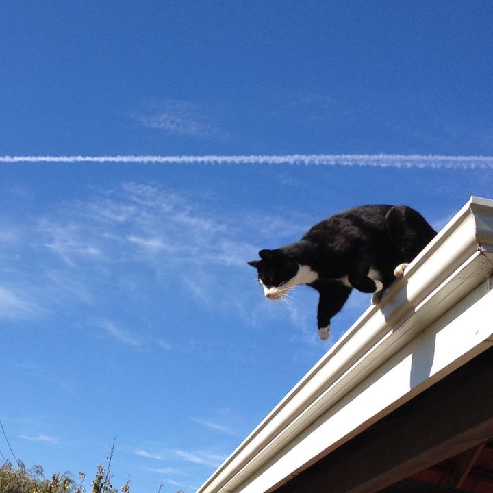 7ef4541b 7fd4 4f62 83eb 338e4291e773