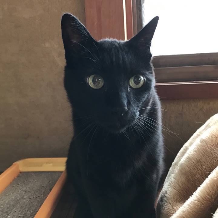 7ef45908 f21b 4f9b ad00 b51527367dbc