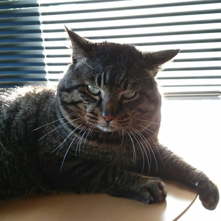 7ef4c0f5 6e0b 449b b023 51f9fcd30062