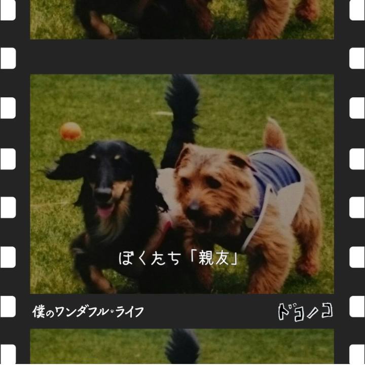 7ef552c9 cb9d 4a1e 80df ec20f17ad8f3