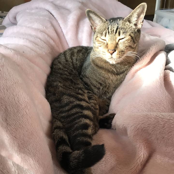 7ef568bc 800f 4f53 8449 414ad44ce787