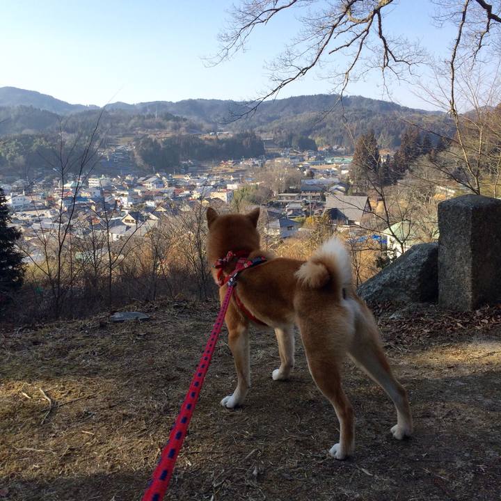 7ef584ed c1b8 4953 80f0 ac795d4e7a81