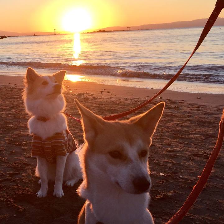 7ef6005c 25bf 46e7 8368 8bb11a25b0fc