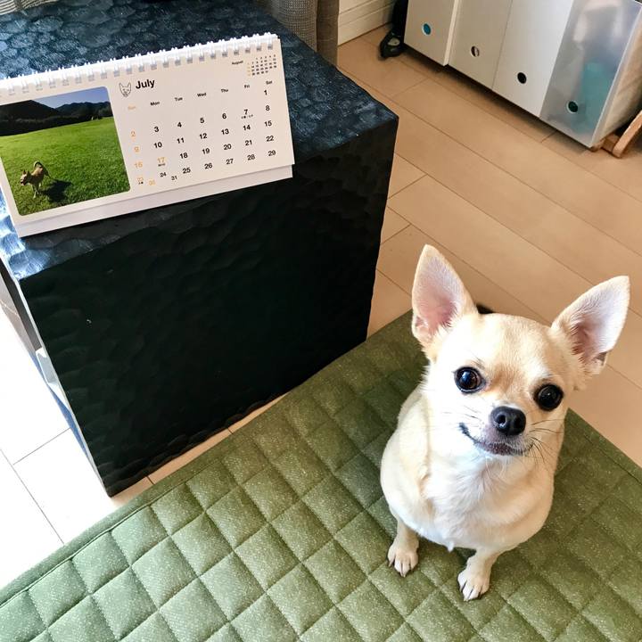 7ef62aa3 a889 4e94 8b13 903e8fe96bc7