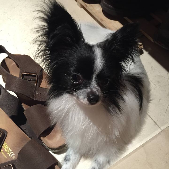 7ef6448d 4d93 4635 8582 aba46de2eb5a