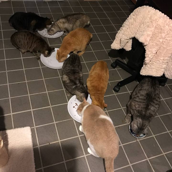 7ef646d1 7cd7 4b57 94ed 040b8d6d5415