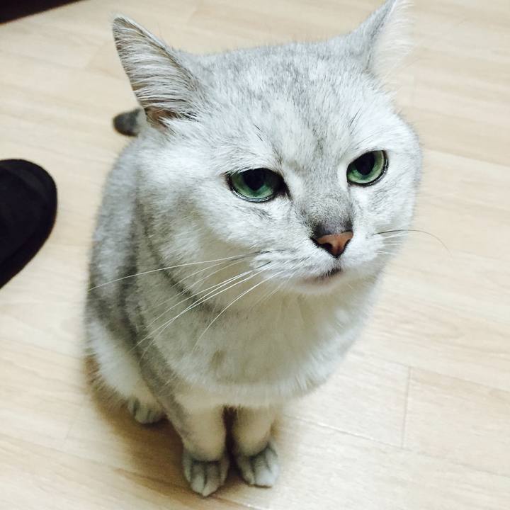 7ef66793 2057 431b 9c91 b56276dac1e1