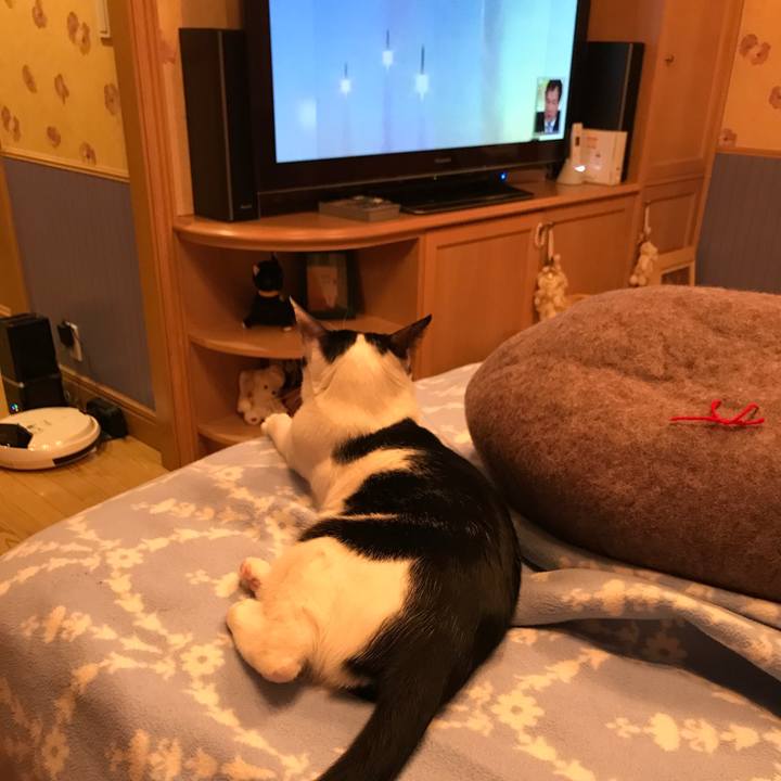 7ef7236b 8e19 4c5c bef4 4f031d577896