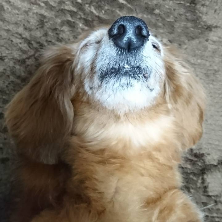 7ef8382f 24b7 4b4c 836b 78927bed8874