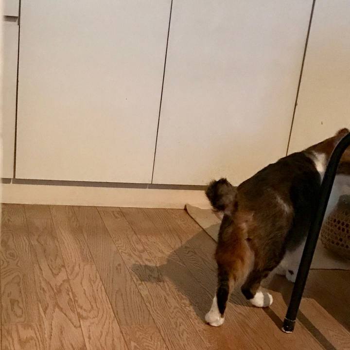 7ef8c7a4 b5f9 446a b749 304ec724b418