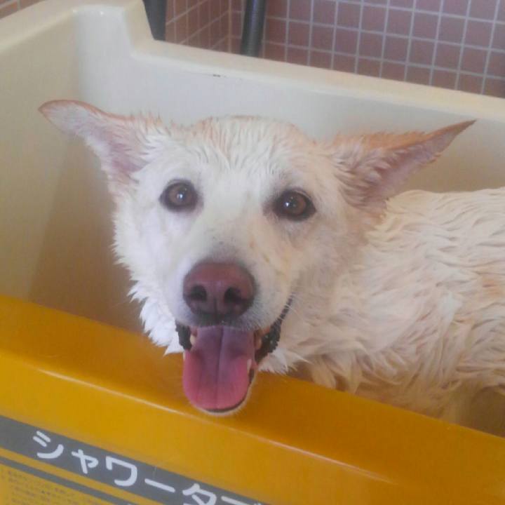 7ef8f607 dd72 4a5b bc04 63c6e4ee1942