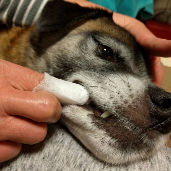 7ef924d0 ba86 4ad9 b433 e1d3d3d15d04