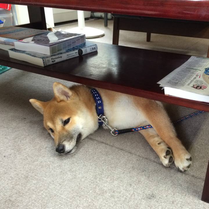 7ef99624 41c3 4bc1 bdcd 9e2e436557a4