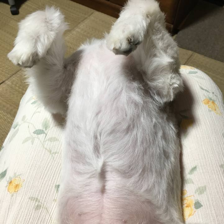 7ef9ec37 9d1e 4a3b 89f4 73ae30baeac6