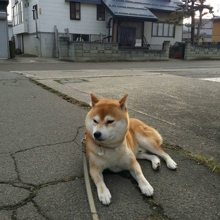 7efa4761 2f2b 4ae6 ae1c 7a13b2af82dc