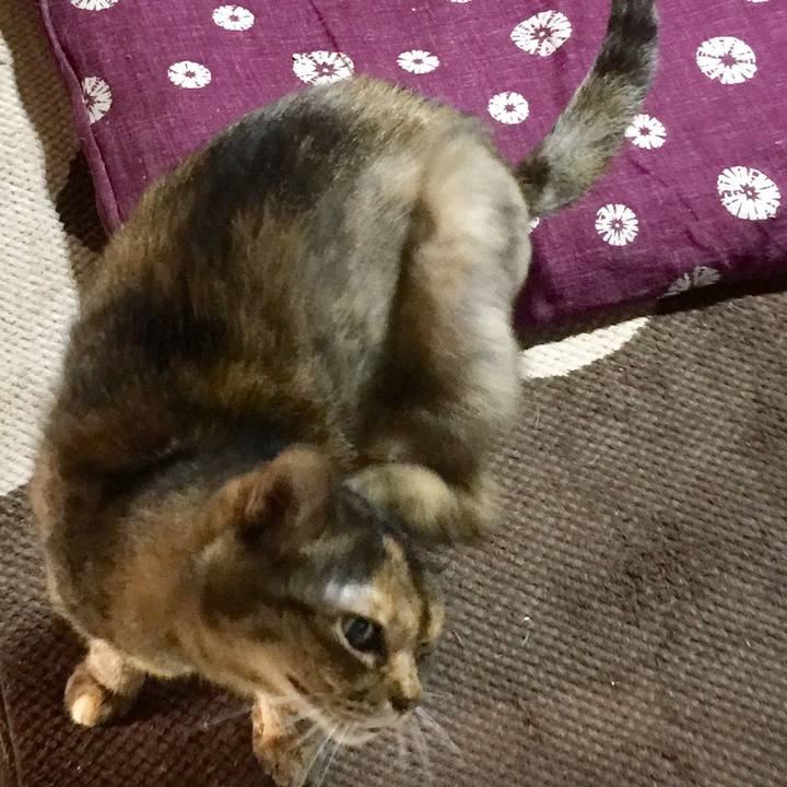 7efa8203 b1d6 45c4 ae51 115f260ddc5c