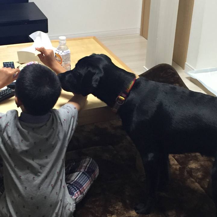 7efbd0c6 18f2 45f9 9f0c 56e4d68f19da