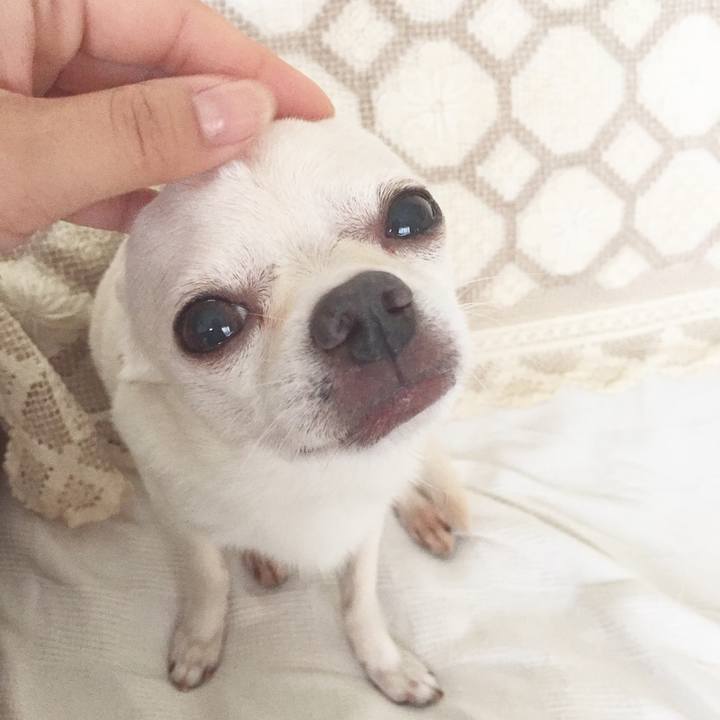 7efc7e0e 1991 40ad 8733 26fe805d462c