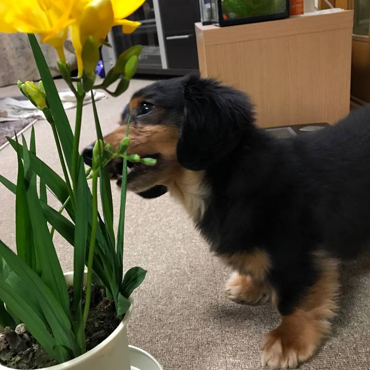 7efc8491 9283 48ea b366 6e8e216a2c6f