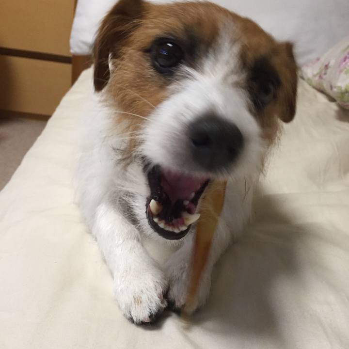 7efd027a 86e7 4a47 825e e0a292ee42bd