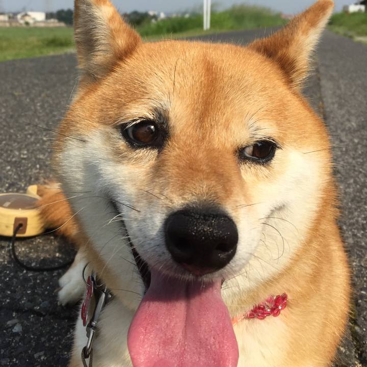 7efd267d 39c2 404f bba9 b2cf0aa5815a