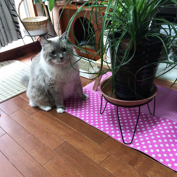 7efd3511 af3f 4f6e b2a0 03d5451d5cb3