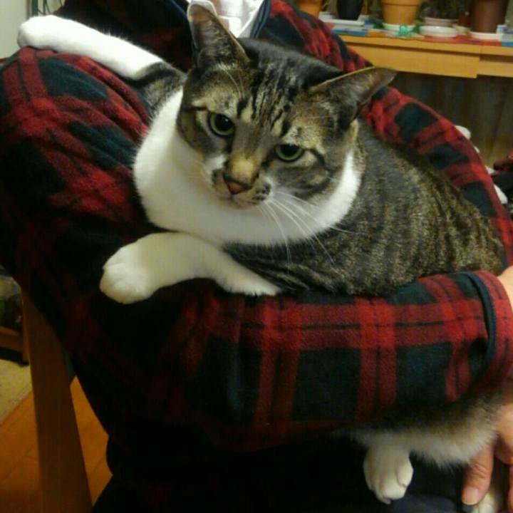 7efd87f0 1cf9 4d36 ade6 3d21f5d00fce