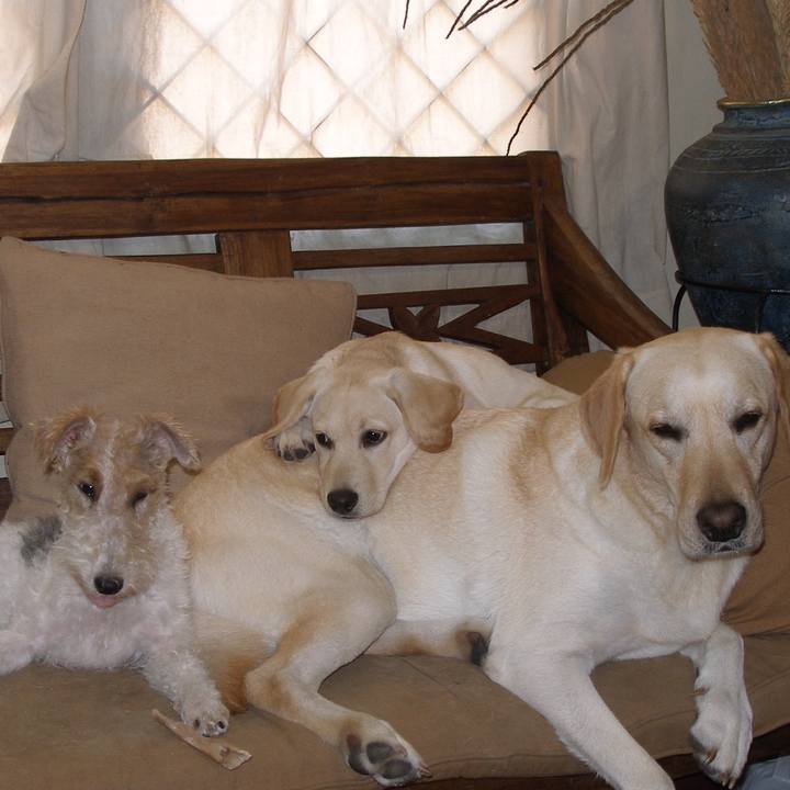 7efdc306 70cb 49f9 b9f7 701625ad9f01