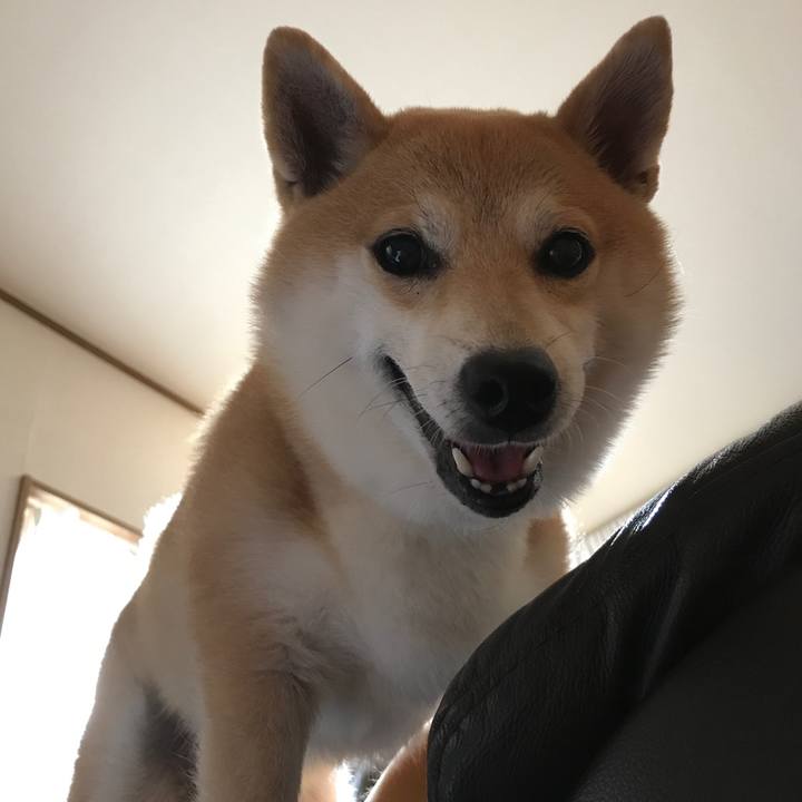 7efde22e 6502 4627 b7fe 153b222081a3