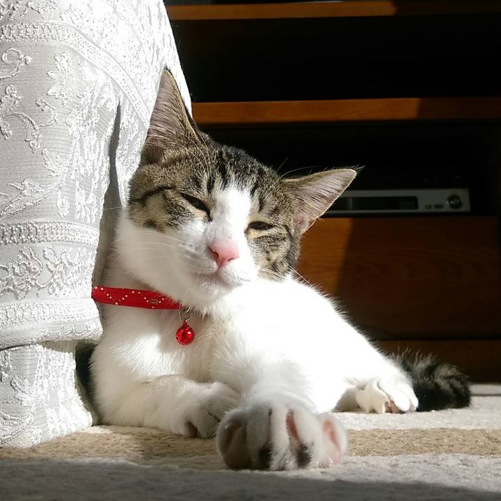 7efe18e3 c9f6 47d1 9d12 35f0e78845c9