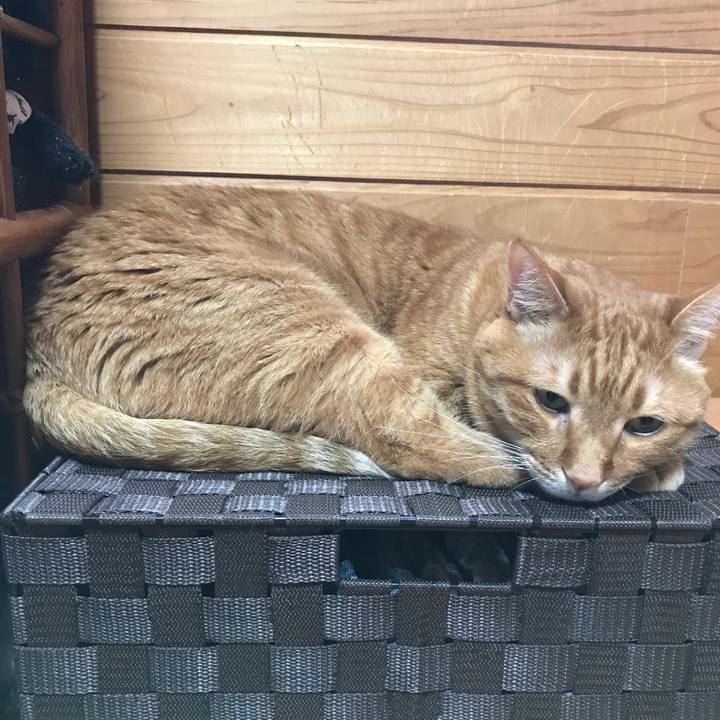 7efe74b2 cdee 46bd 98a9 a9caa297799a