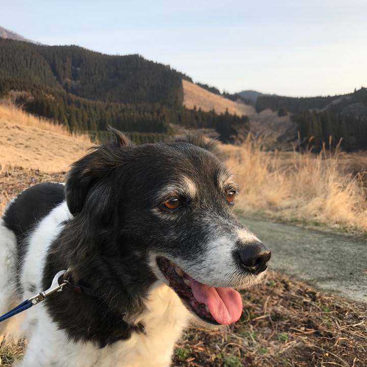 7efe802e 3939 4770 95e9 8b5fcf52080f