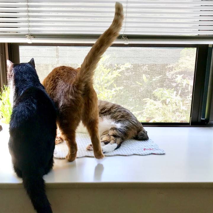 7efed16d 640b 4360 98a6 34b3a82b04c0