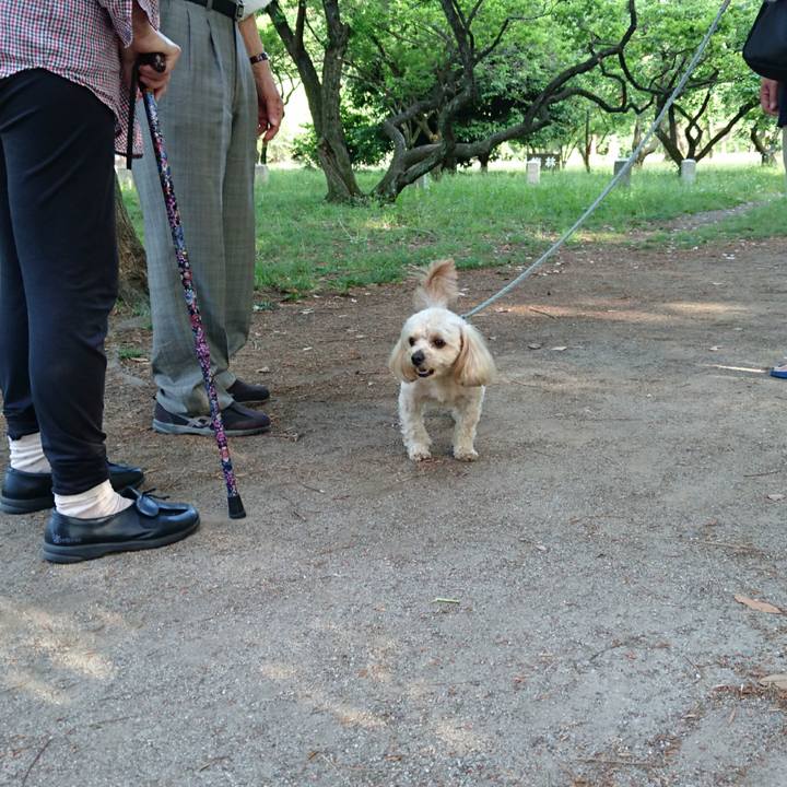 7eff28dc 8c32 4d74 a3ef 511243cdd055