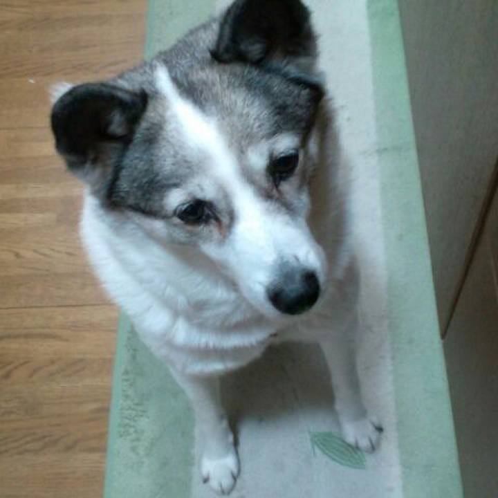 7eff363d 11b2 46bf 8ea4 26d6950050db