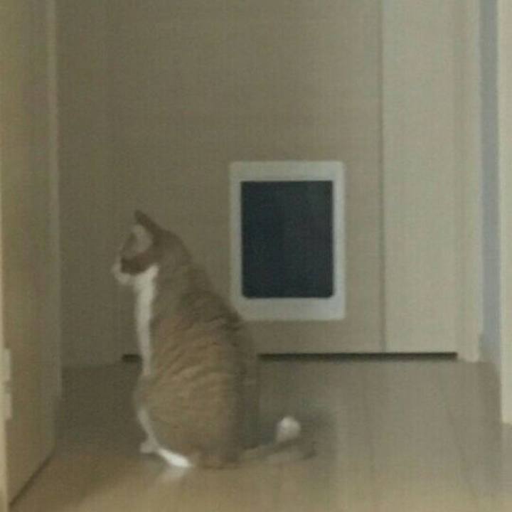 7eff7461 6540 4353 b8d6 90d771dcb194