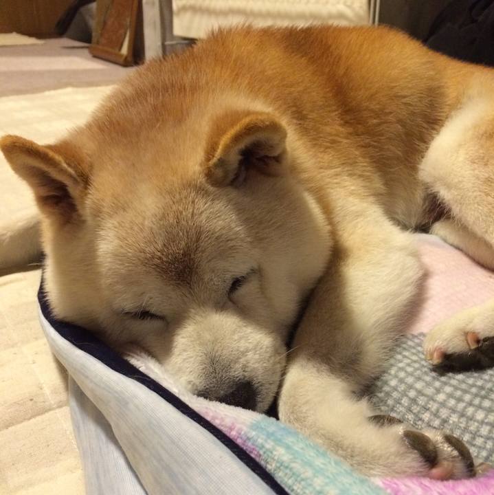 7eff8ac4 eccb 4ed6 8092 2b4a6d888ee5