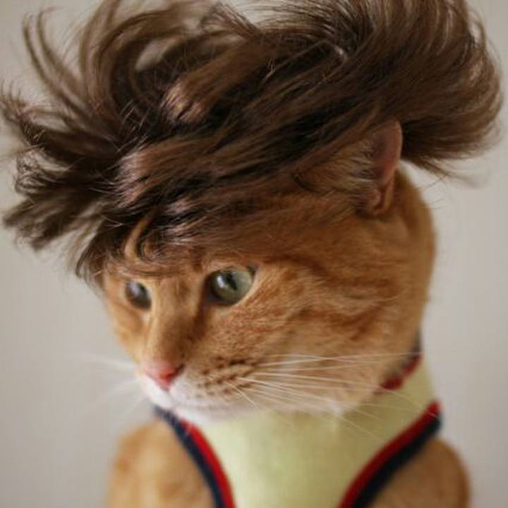 7eff99cf bf82 4a66 ba4f 07ce1616e235