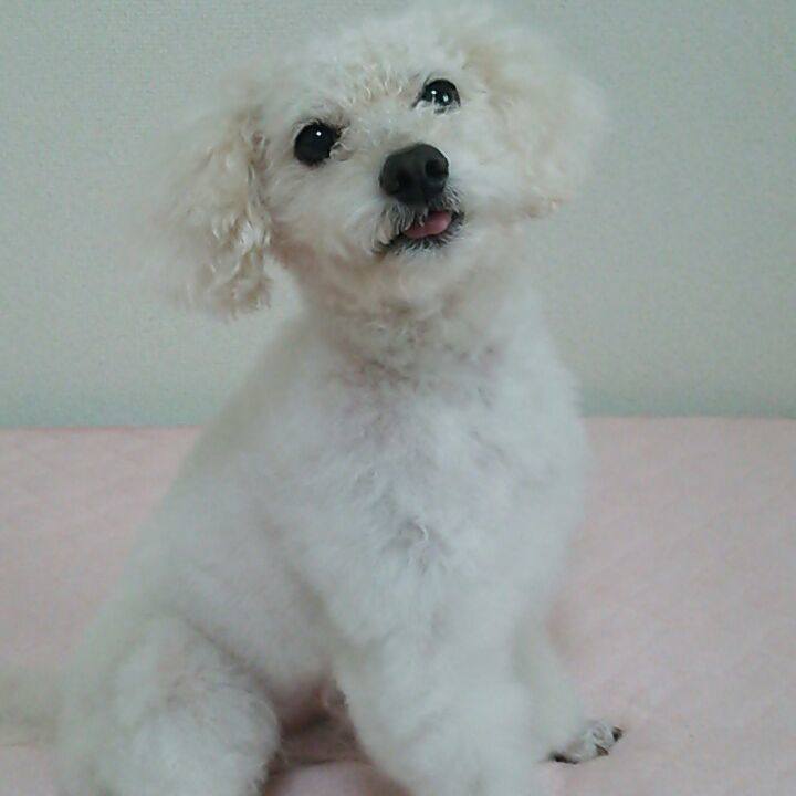 7effdac7 8000 4003 8481 2f9cd419bdc4