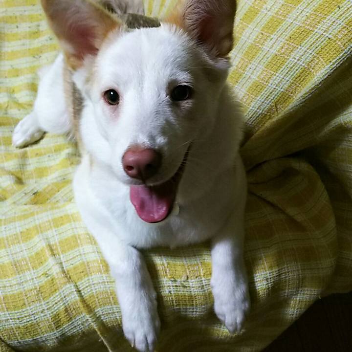 7f007a2e ae58 45b5 b8fa ad43cb7c9a97