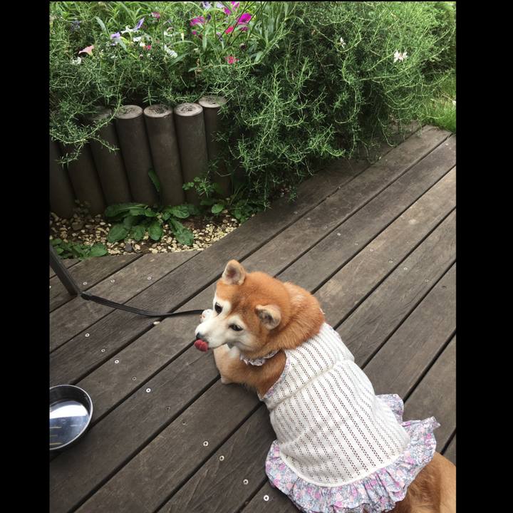 7f012de8 c701 4b9c 90dd b13198c54d1d