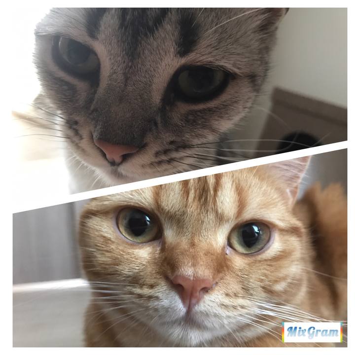 7f018dd6 c018 4566 9ccb 009340e6569b