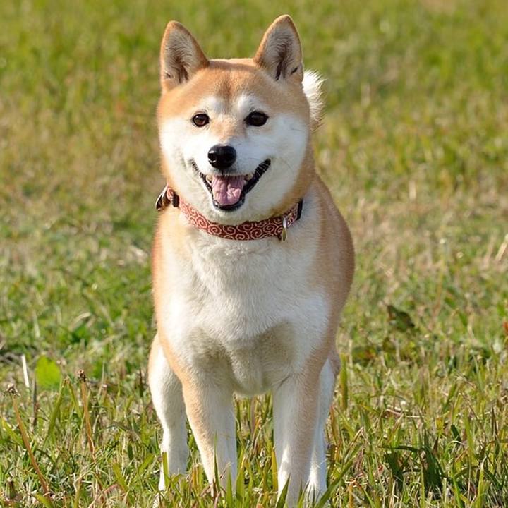 7f021adb b7d6 4ab1 b2c1 bb22bb90559c