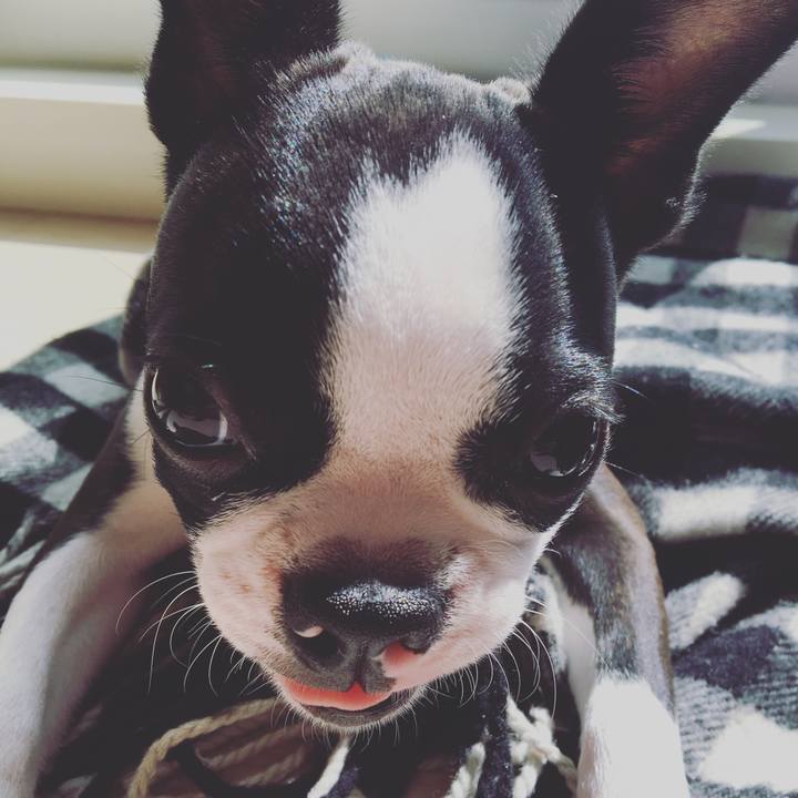 7f0264ad fd4b 4a95 8f87 2f31a5a6df75