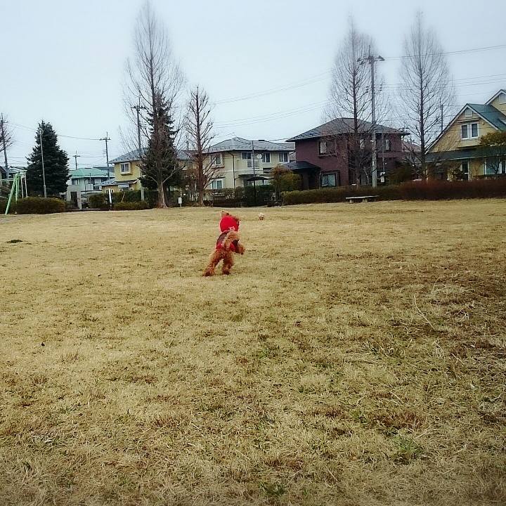 7f02a652 973b 48d0 a236 ed0680da47c6