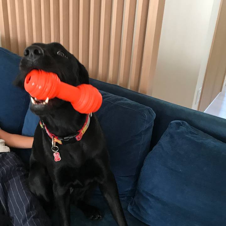 7f02da90 d6a7 4eb1 b3dd 217df4344612